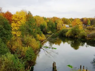 Центральная детская библиотека г.Кулебаки проводит фото-акцию «Настроение: золотая осень»